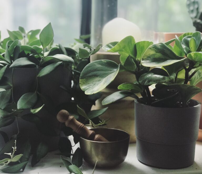 FA38F9AF 9548 451B A54A 4AF7C303DBB4 768x660